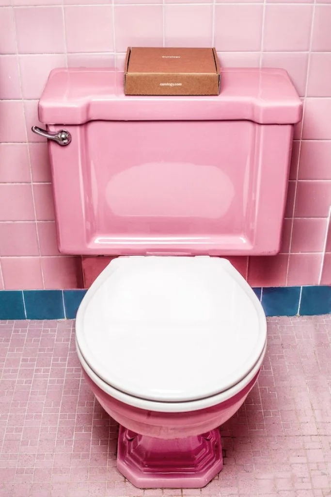 Choisi un abattant WC pour son sanibroyeur