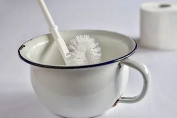 brosse wc
